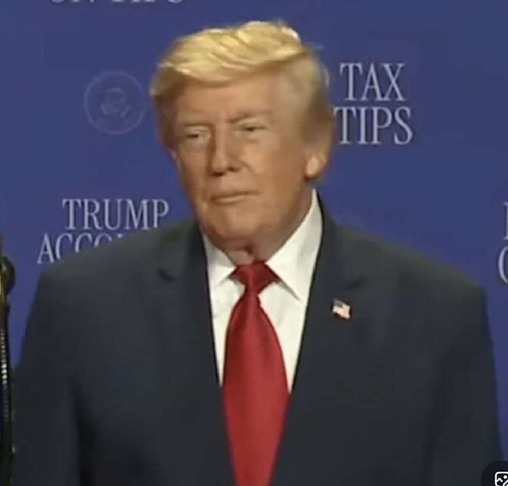 BMeiselas's tweet photo. I know everyone’s talking about Trump’s escape from Turkey in a catering cart, but I think we’re overlooking the REAL story here: Trump went to Turkey and a month later suddenly has a new hair.

Coincidence? https://t.co/kWc1GZy7A2