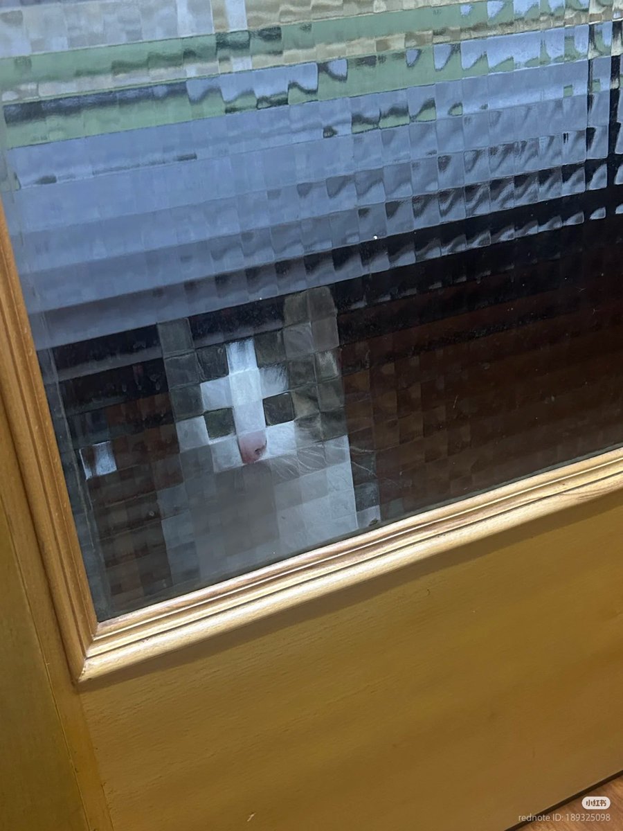 nocontextscats's tweet photo. pixel cat https://t.co/IBSOyF11P1