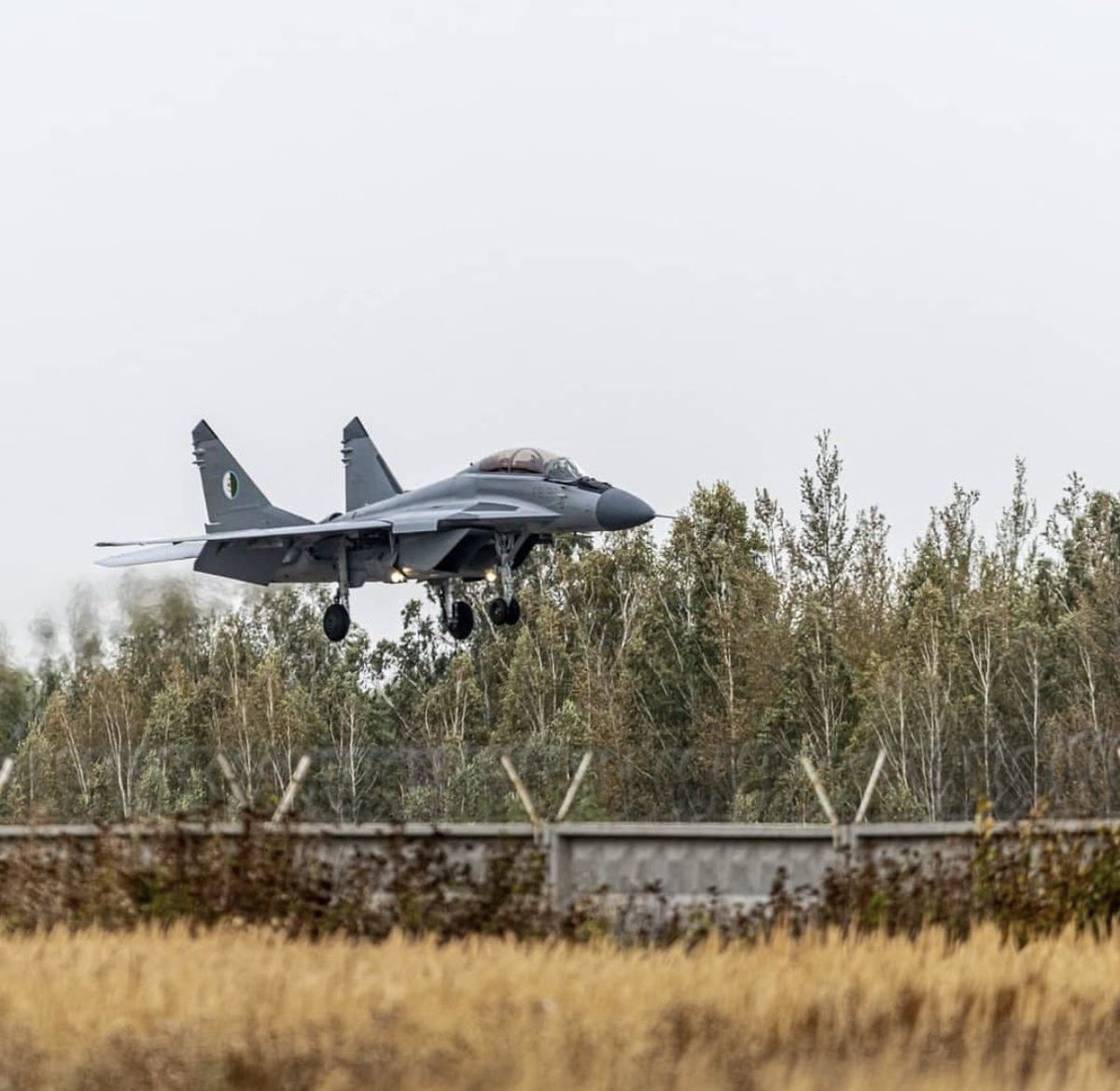 Su30_Dz's tweet photo. MiG 29/M🇩🇿 https://t.co/CP3PLeq0rR