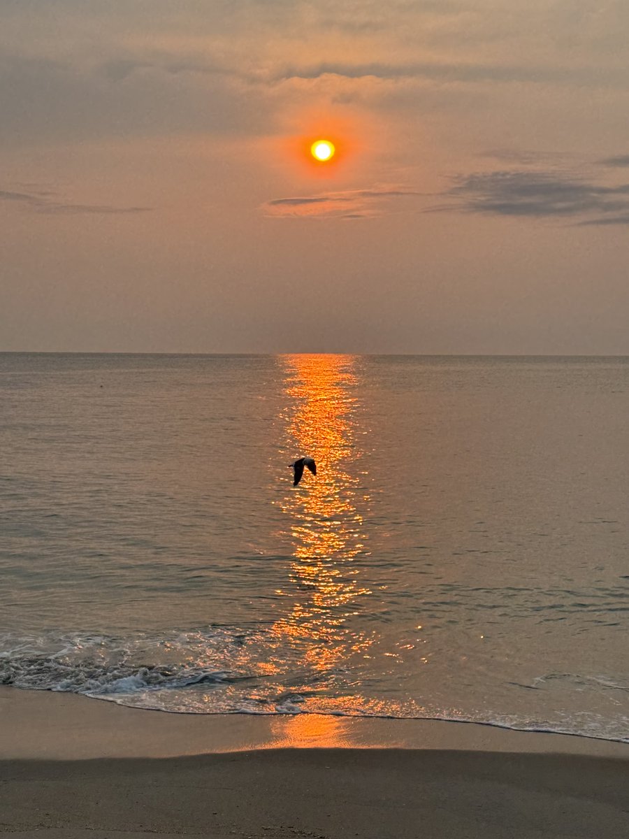 SusanPage's tweet photo. Good morning, August >>> https://t.co/ErGAC1xXUy