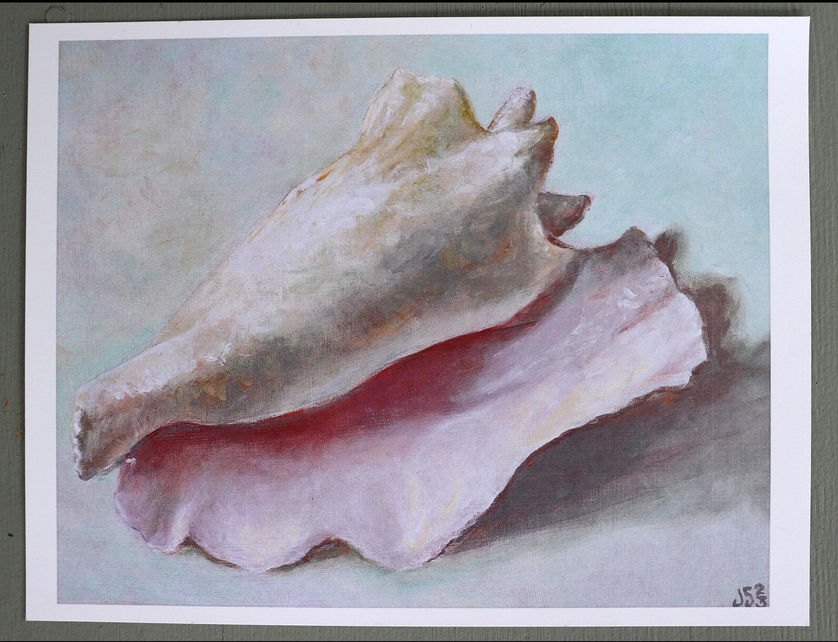 JulieKSchuler's tweet photo. Seashell
art print
Julie Schuler

https://t.co/gCCaLbzAeI

#painting #seashell #ocean #stilllifepainting #artprint https://t.co/gRWwpJutm0