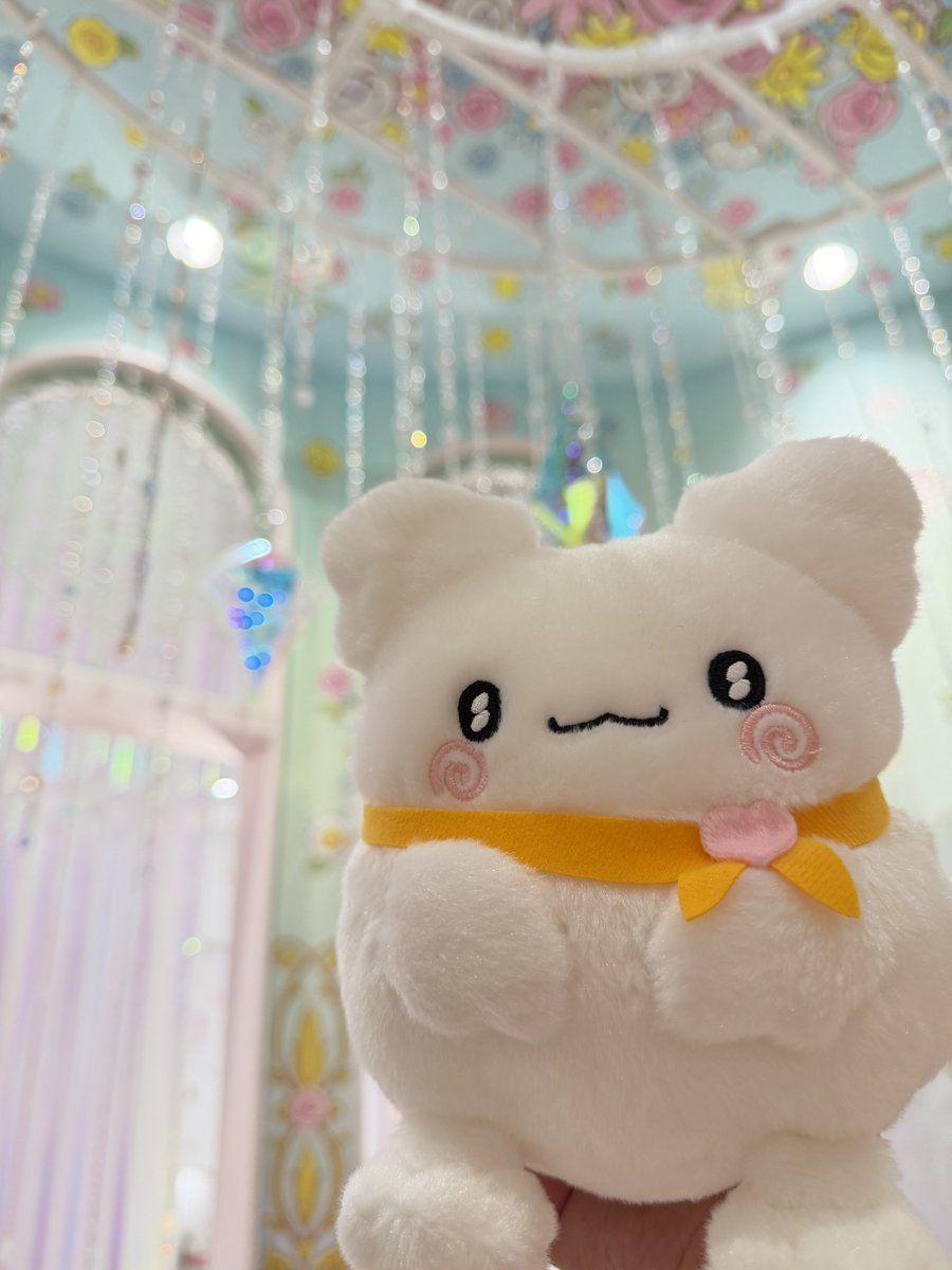 4data8maru's tweet photo. https://t.co/BzVB7eRgBR