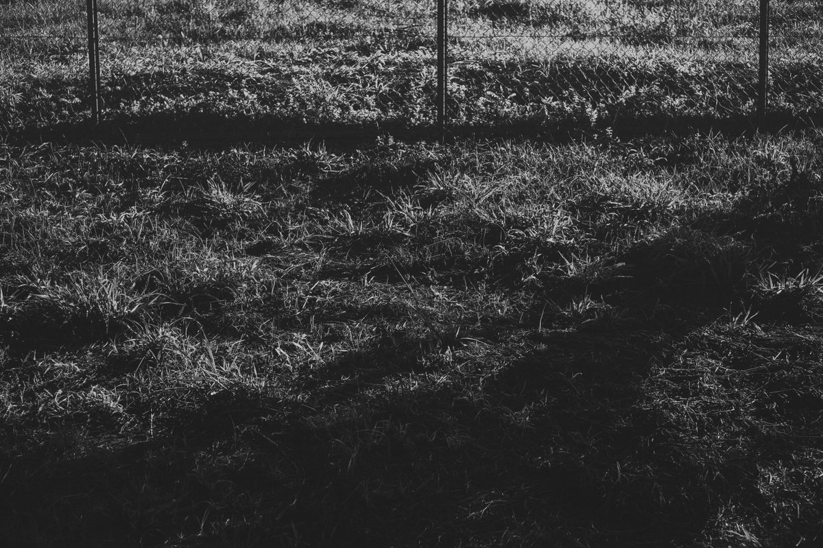 2569 #monochrome #モノクローム