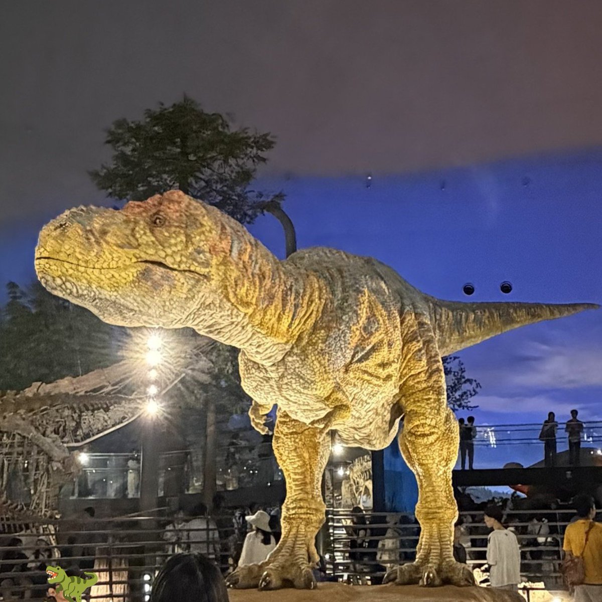 warukazu111's tweet photo. これは「福井県立恐竜博物館」で撮った写真です🦖
(この写真だけでわかった人すごすぎます…！)

博物館の展示はすごく迫力があり圧倒されました！
ぜひ夏休みに訪れてこの場所さがしてみてください！！ダウジングマシンをお忘れなく〜！
https://t.co/JscHE6MbRU https://t.co/fqDjeTujdz
