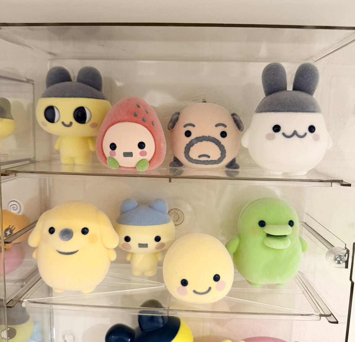 89mk4's tweet photo. かわいい https://t.co/IreSGPXpUT