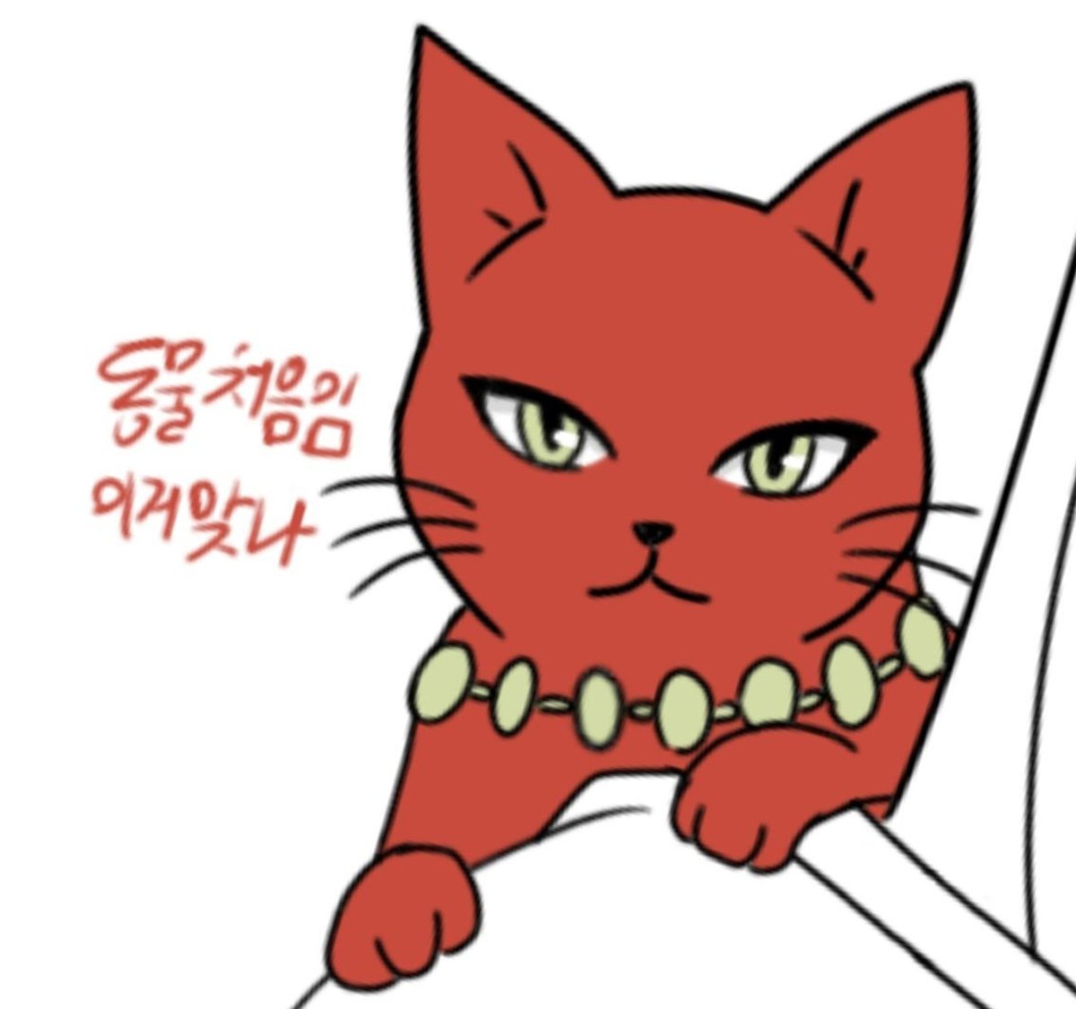 Zoe_L_ee's tweet photo. 고양이는이리나한명으로충분함 https://t.co/XDmntjnBLG