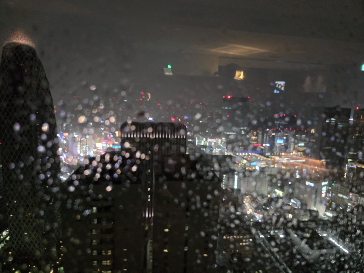 cocottelatte's tweet photo. 雨の新宿
Sky Plaza ibasho Keio Plaza  Hotel. https://t.co/QfsHS7yQin