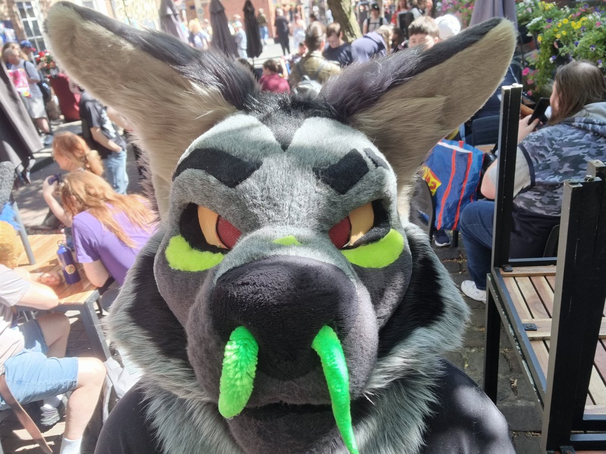 ratbatboi's tweet photo. Almost 100 followers...... https://t.co/Lo09iYyHRk