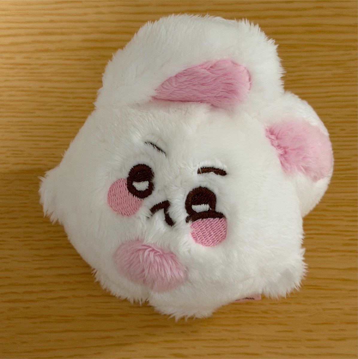 ham_1248's tweet photo. 하 털이 진짜 보숭보숭해 https://t.co/bATjxVMBiB