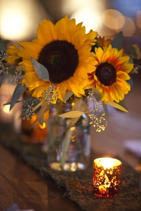 flowersHub's tweet photo. https://t.co/AgBSdXUSFW