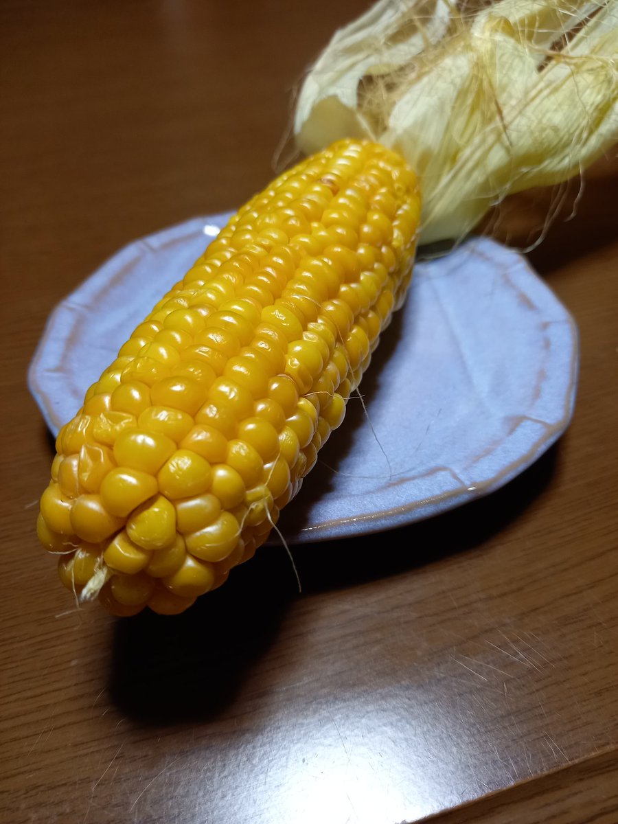 kazuDEVIL's tweet photo. 先っちょまで実が詰まってる。
あまり見たことない。
当たりなのか？？ https://t.co/CP6AF6XGAX