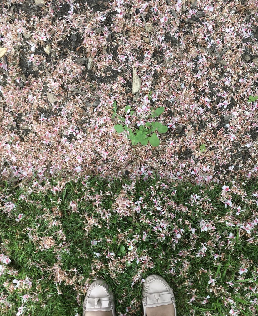 MonaAlSheddi's tweet photo. "There is no silence without grief, no forgiveness without bloodshed, no acceptance without a passage through acute loss."
"And once the storm is over, you wan’t remember how you made it through"
#myphoto #memories https://t.co/2NmJdRxSn2