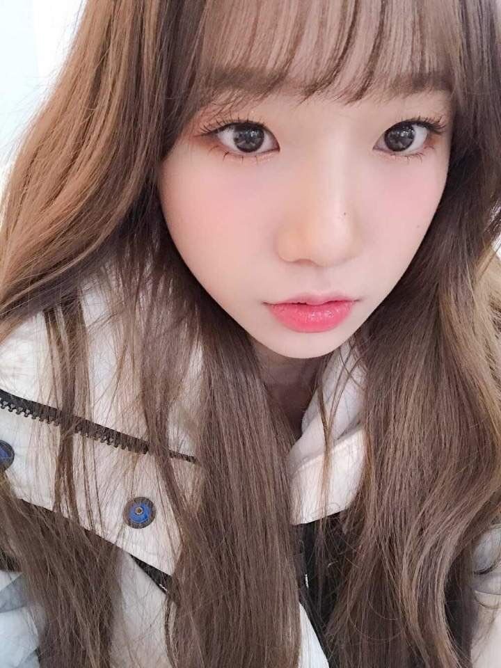 yursfavglassy's tweet photo. my baby is very beautiful

#조유리 #JOYURI #チョユリ https://t.co/X8peCZAMGo