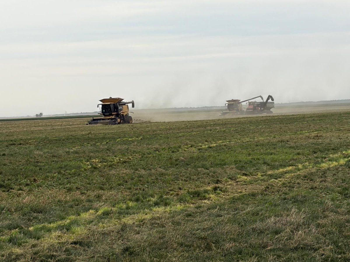 MBAgDays's tweet photo. We are farmers just like you!
We create a 100% agricultural show because we are as into ag as you are!
We chose the theme of 50 Years of Innovation and Tradition because we know that the future of agriculture is built by generations of trailblazers.
#agdays #agdays27 #50Years https://t.co/DdZxG2NtS5