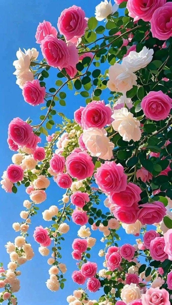 FBeauty121976's tweet photo. https://t.co/Pm1esn2h7N