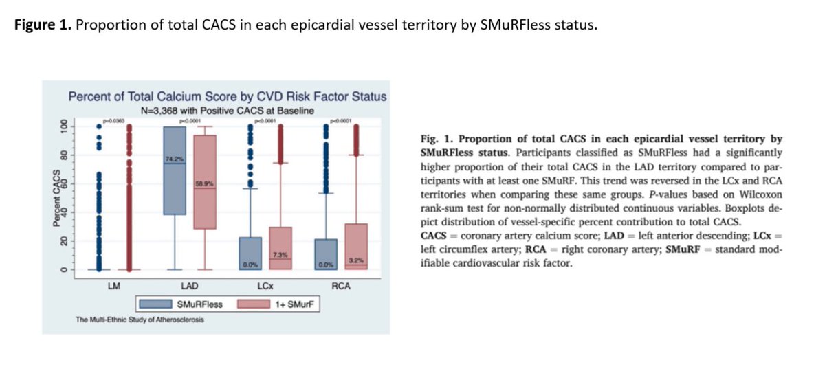 journalCCT's tweet photo. Why does atherosclerosis develop in people w/o hypertension, diabetes, smoking or high cholesterol? Gray et al. identified a possible LAD-predominant calcium pattern in MESA, opening new questions about vessel-specific biology &amp; personalized prevention. 

https://t.co/tqnJHZXHv8 https://t.co/VD6lQBX9pE