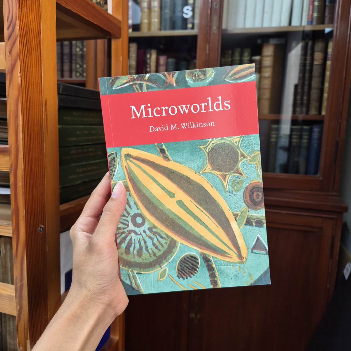 PemberleyBooks's tweet photo. The #NewNaturalist's latest work is out!
#Microworlds explores the world of #microscopic life, from #amoebae and #paramecia to #organisms with lifestyles that sound straight out of science fiction 👽
📚 Available in #hardback &amp; #paperback.

https://t.co/xQo0IUsa4j https://t.co/h2OaevpMvA