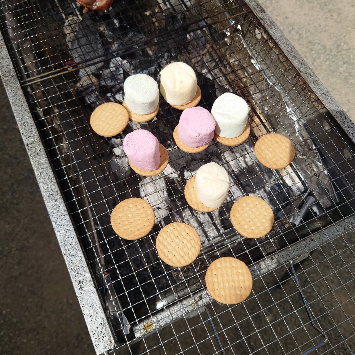 39UNiC's tweet photo. ましゅまろ焼いてきた🔥 https://t.co/54yYFozN1g
