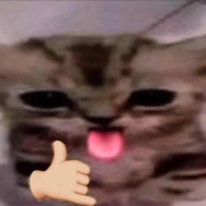 PtitReo's tweet photo. @nonamejosuke__ @pipicheval Akshually c'est ton deux minute ça, tu draw tes cartes normalement 1min après ton opener et tu keep ton buff melee jusqu'au deux minutes puis tu draw tes cartes pour mettre le buff ranged après (tjr pendant ta divination) https://t.co/dWrWBtEIFo