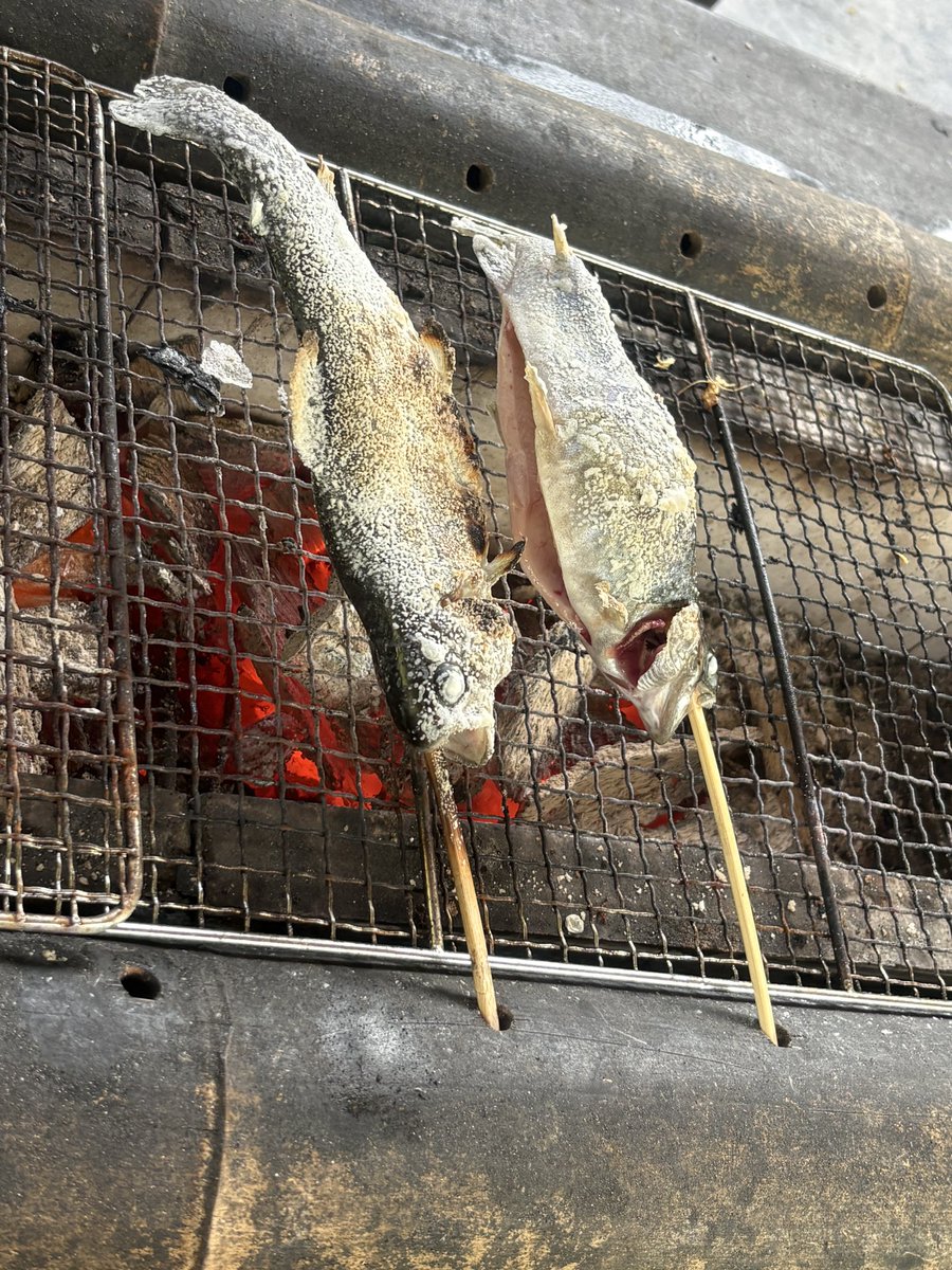 ferikkun's tweet photo. 最高やったな
おっちゃんのオススメで試したけど
骨を焼いたやつが身よりうまいとか https://t.co/maut16LssP