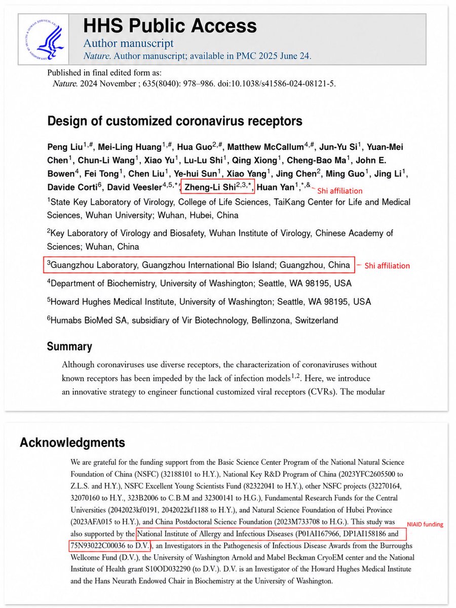 nataliegwinters's tweet photo. Despite everything that happened during COVID, U.S.-funded scientists continued working with Shi.

In 2024, she co-authored a Nature paper developing customized receptors to study different coronaviruses, including HKU5 bat coronaviruses. https://t.co/J1Q0JTLXQQ
