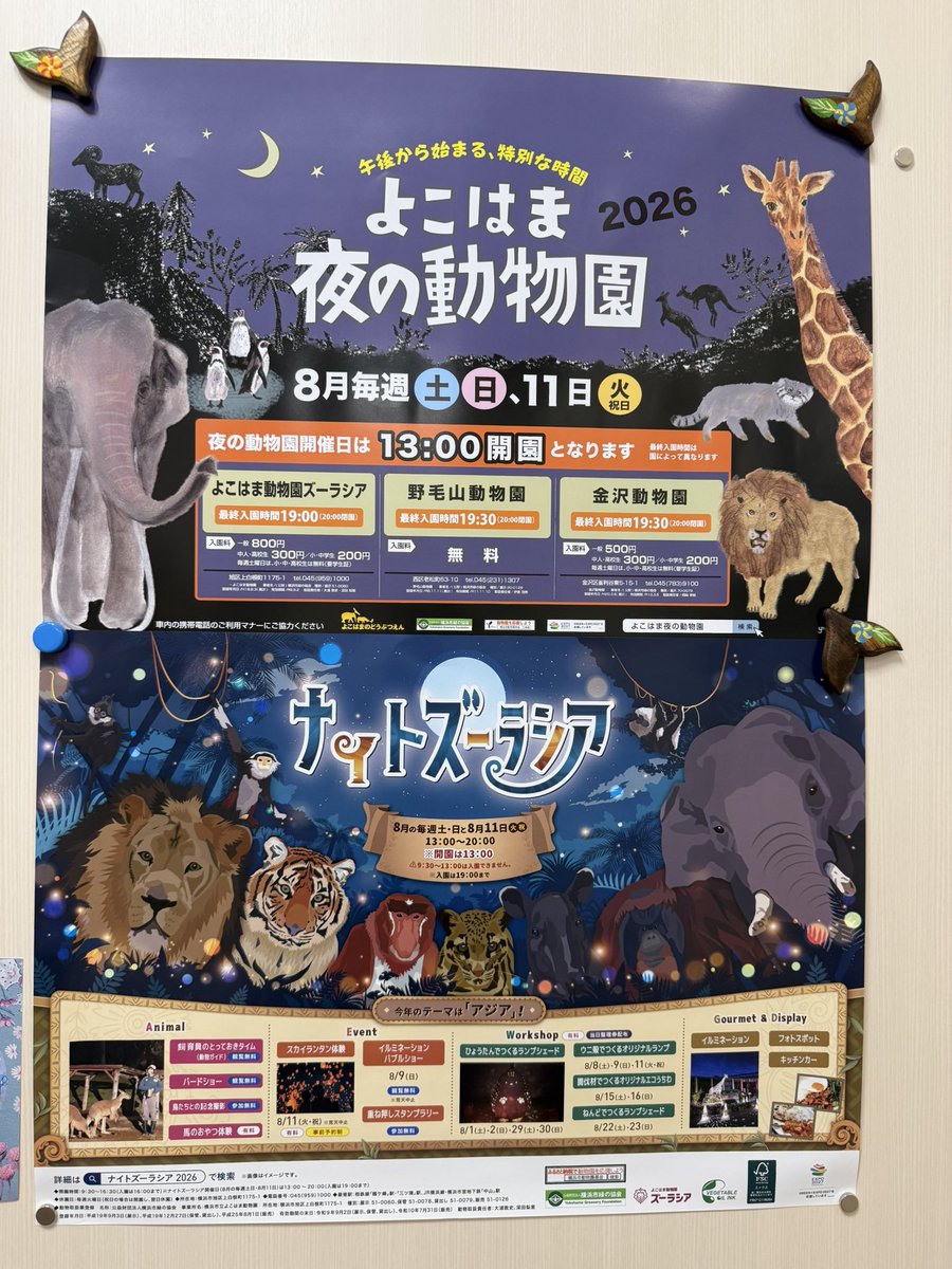 fushimi1988's tweet photo. 今年も、横浜市の動物園3園でナイトZOOが始まっています。
金沢動物園からスタート(ᵔᴥᵔ)
#金沢動物園
#ズーラシア
#野毛山動物園 https://t.co/OCXT4IZKY0
