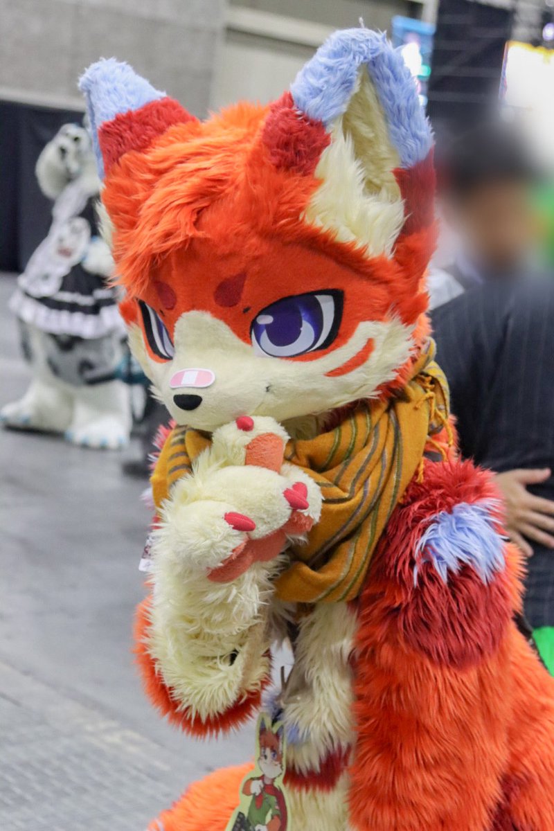 satorou1034's tweet photo. チディさん

撮らせて頂きました（ありがとうございました）

カッコいいケモノさんだわ〜
首元のスカーフが似合ってる＆鼻元の絆創膏がいいわ〜

ポーズも決まっていて、どれもカッコいいです‼︎

#OFFF2026 https://t.co/zXAV9KXnG9