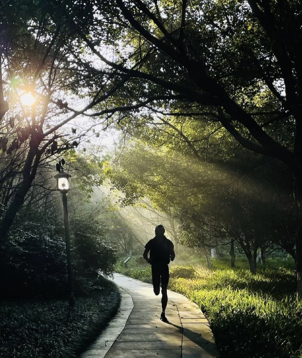 MaureenOCo1z7e's tweet photo. Just crushed a 10km run I thought was impossible. Small wins beat big plans every time—what’s one limit you’re breaking today https://t.co/cNyjJtabiF