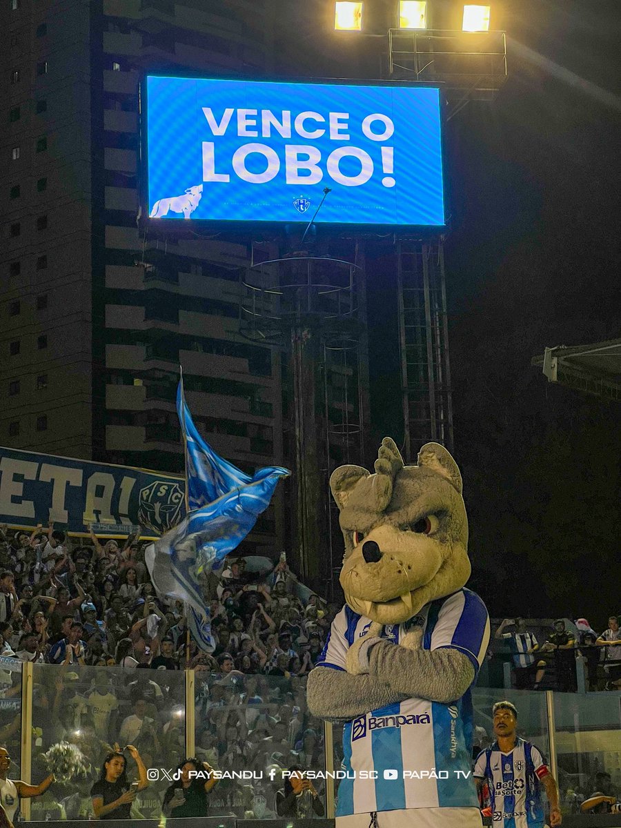 Paysandu's tweet photo. NA NOSSA CASA, QUEM MANDA É O LOBO!!!! 🐺💙🏟️

📸 Wellison Vasconcelos / Paysandu 

#VamosPaysandu https://t.co/cmVUSMzZTc