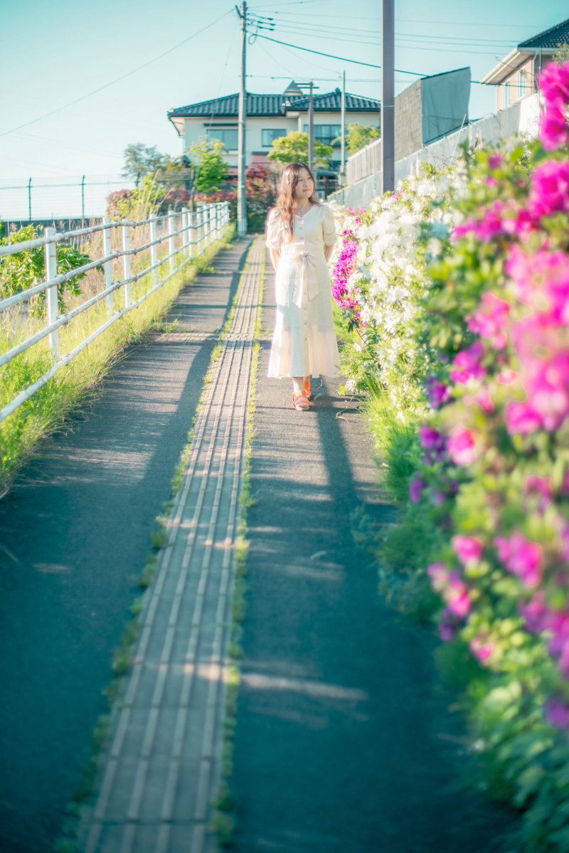 VegaPhoton's tweet photo. 日常の少し先 https://t.co/PfnpS8CffH