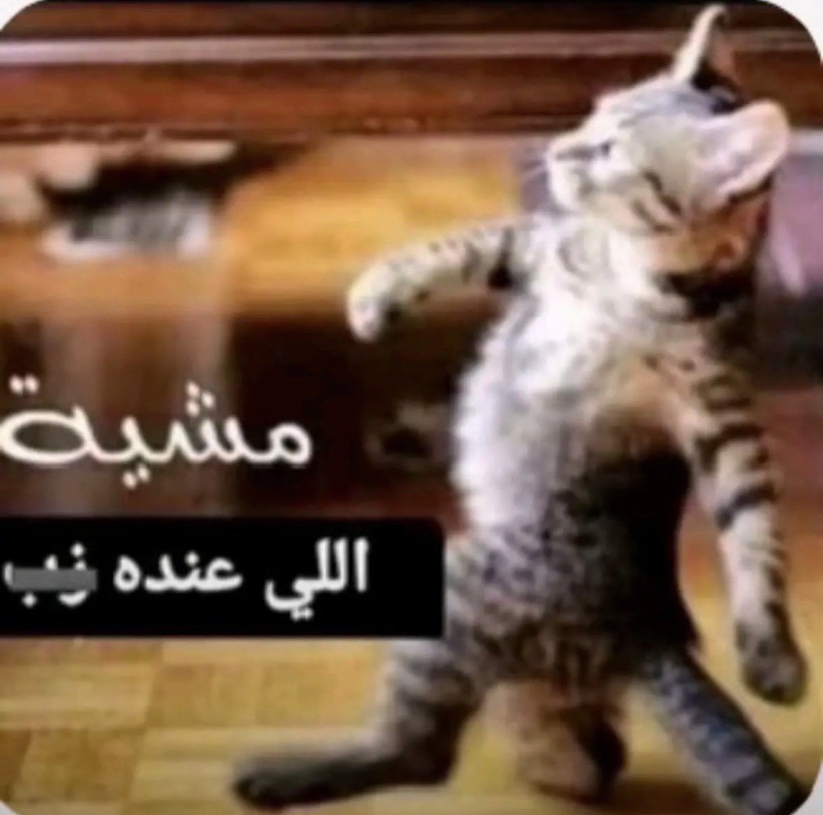 lu_6c's tweet photo. @scattered_eyad اقل اماراتي https://t.co/gckOVVBtO7