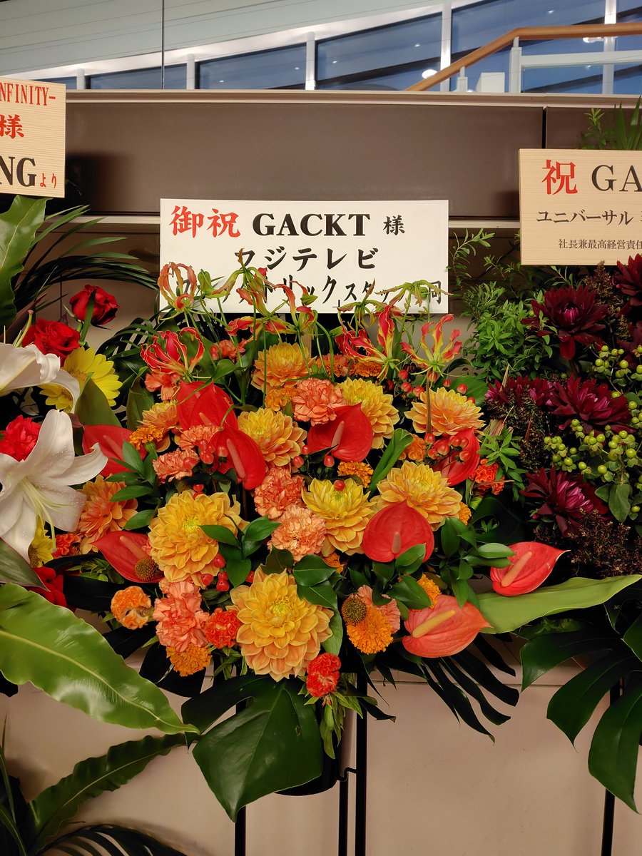 kiki___2222's tweet photo. GACKT 魔王シンフォニーINFINITY
文京シビックホール 2026.08.11
川越ぶり❤️
今回は最新曲に泣いた🥹
最新曲が聞けるって進化し続けてくれるGACKTさんの存在あってこそ🥹
ずっと歌い続けてくれてくれるGACKTさんに敬意🥹🥹
川越はかっこいい系だったから東京は可愛い系コーデ！！ https://t.co/bbcDIOnujp