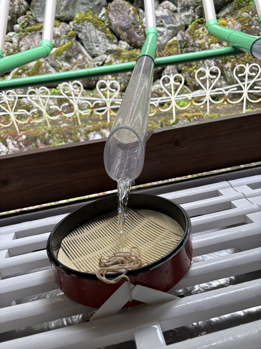 bunny00024's tweet photo. 本日は岩手県住田町の滝観洞へ！こんなワクワクする場所を知らなかったなんて！長い道のりの果てにたどり着く天の岩戸の滝は圧巻！滝流し蕎麦も美味しかったなぁ🤤わさびソフトも眠気覚ましに最高😆　#住田町　#滝観洞　#わさびソフト https://t.co/BY8vqwDTWe