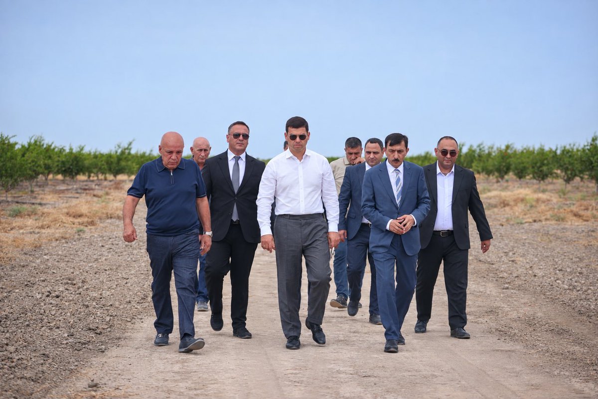 MammadovOrkh's tweet photo. Mikro, kiçik və orta bizneslər regionların iqtisadi fəallığına töhfə verməkdə davam edir.📍Kürdəmirə səfərimiz çərçivəsində 'Finco' MMC-nin nar bağında olduq. Sahibkarla yerli istehsalın genişləndirilməsi və inkişaf planlarını müzakirə etdik. https://t.co/ZHugqCYHGu