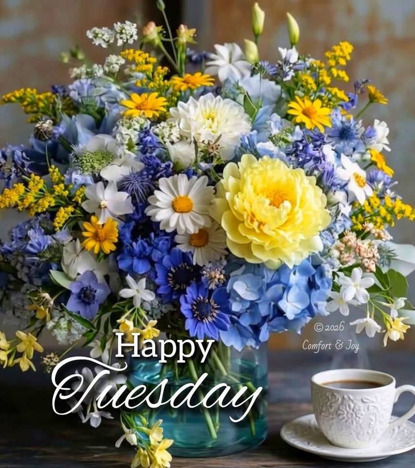 Cutie2Tee's tweet photo. @Deetroit_Dave Good morning! https://t.co/SpEgsZRoQv