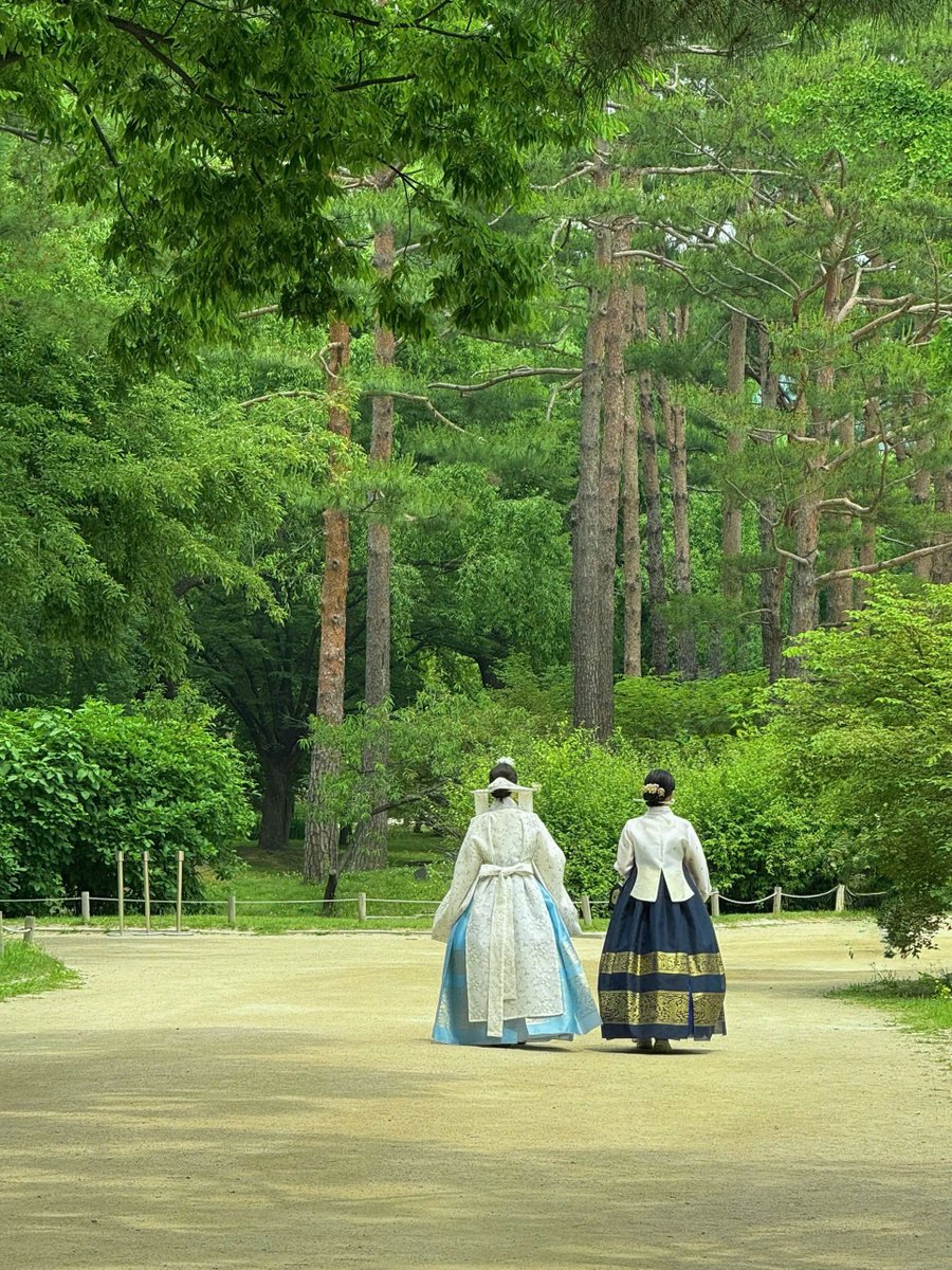 nulpuleunsonamu's tweet photo. #한복
#Hanbok
#한국
서울 2026 https://t.co/hl376VDxyb
