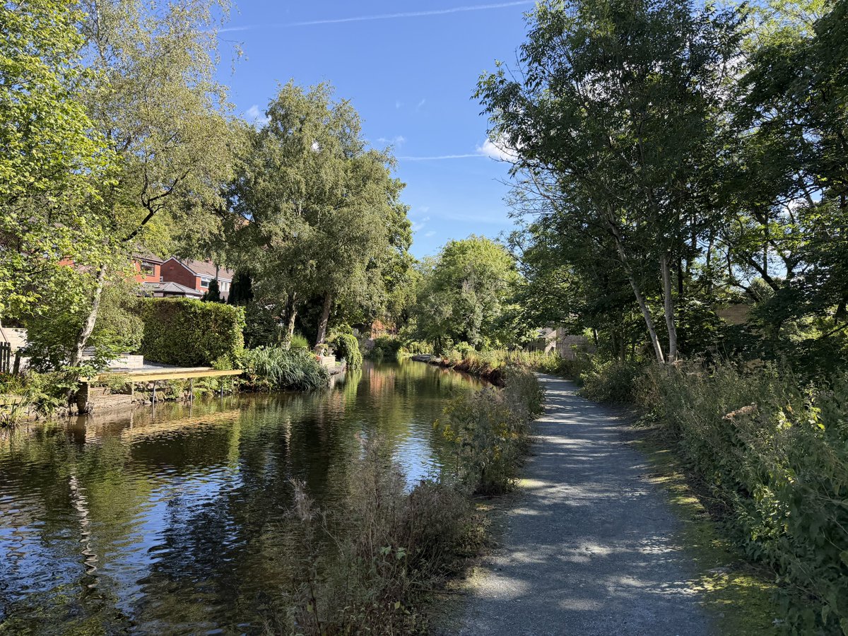 hikingshawty's tweet photo. pics from yesterday’s walk :) ☀️ https://t.co/rOK1bgdLrJ