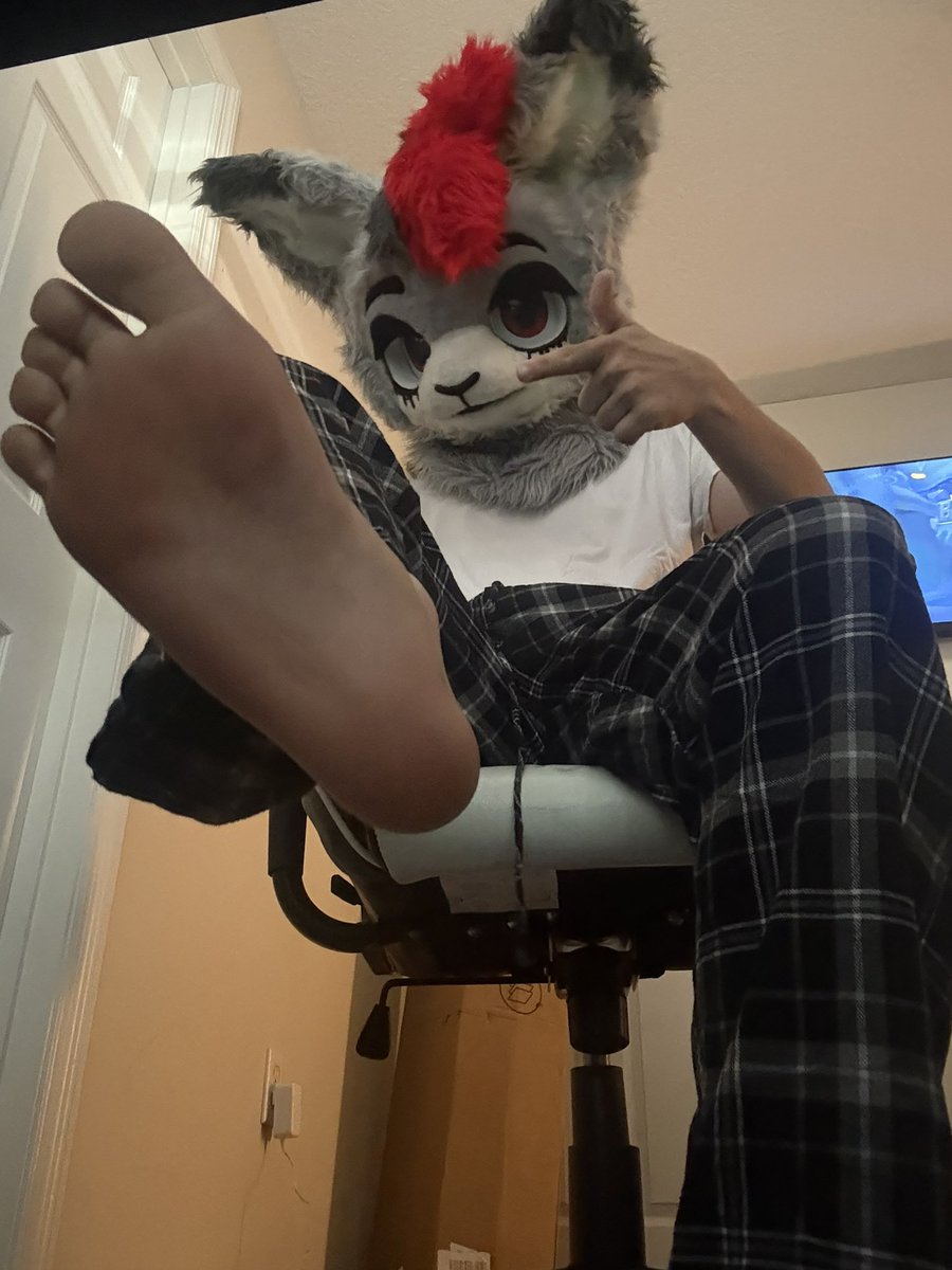 bunnybitez__'s tweet photo. Hey dork mind rubbing these paws? I’ve had a long day 🖤 https://t.co/q8fL7784u1