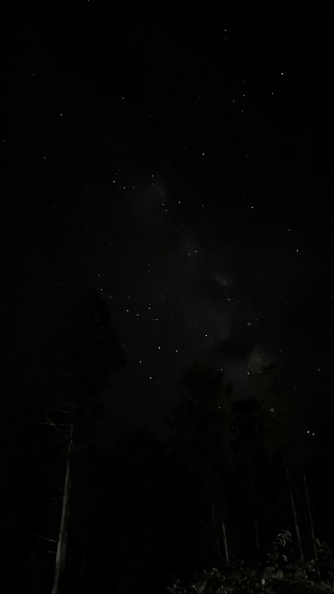 vrchat0930's tweet photo. 流れ星見えた💫 https://t.co/BmvlH1cvcW