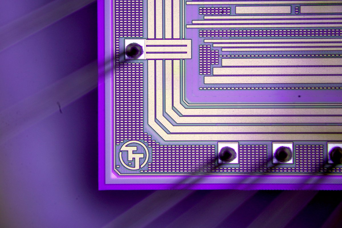 tinytapeout's tweet photo. Georgous chips from IHP!

This chip has a RISCV by @splinedrive , an Atari 2600 and a LGN hand-written digit classifier by @__ReJ__ , and some original silicon artwork by @Bleeptrack 

For all the details: https://t.co/zw6sB48ZKC

#ASIC #opensource #silicon #TinyTapeout https://t.co/ojGeMAOkp6