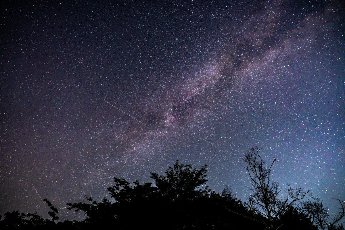 lilly_ten's tweet photo. 昨日は茨城の展望台で星を眺めてきました🌠
大きいのは一枚目中央下、二枚目右側かしら。
他はほぼ飛行機✈️、たまに流れ星です笑
肉眼ではけっこう見えたんだけどな……向けてる方向と違うとこを流れてく…… https://t.co/SUqpNGlDmf