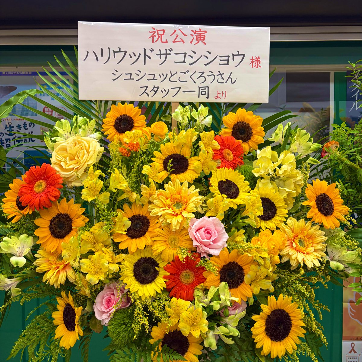 ___vs300's tweet photo. 夏の風物詩に行ってきました
自分、いってへんから佐山のクリアファイル買われへんかった😭
#嫌な気持ちにさせツアー https://t.co/OIyrMfTqow