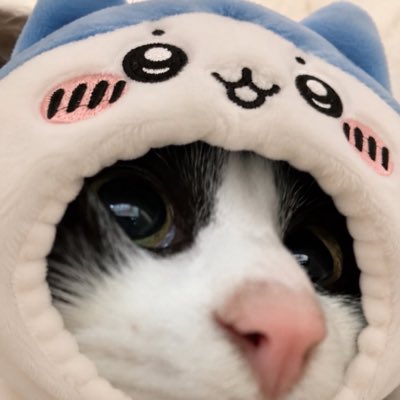 cdfxju's tweet photo. #新しいプロフィール画像 https://t.co/ZoTmURHMW6
