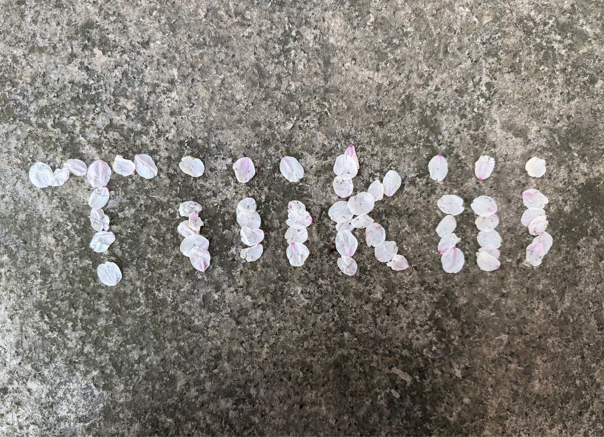 bxnkxng_'s tweet photo. 재료 안가리고 티키 써서 보내주는 천사야🥺🥺 https://t.co/OlsrAYMy8e