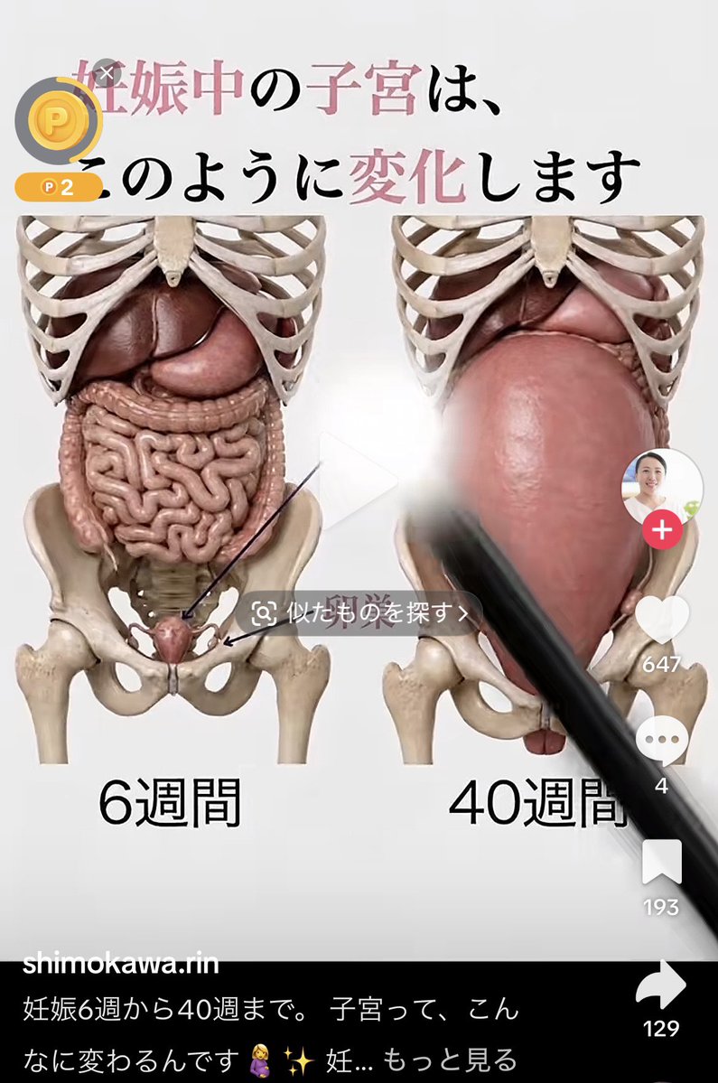chaco0304's tweet photo. こりゃ頻尿になりますわwww
胃はかろうじてキープされてる気がする笑 https://t.co/gCShSWAL30