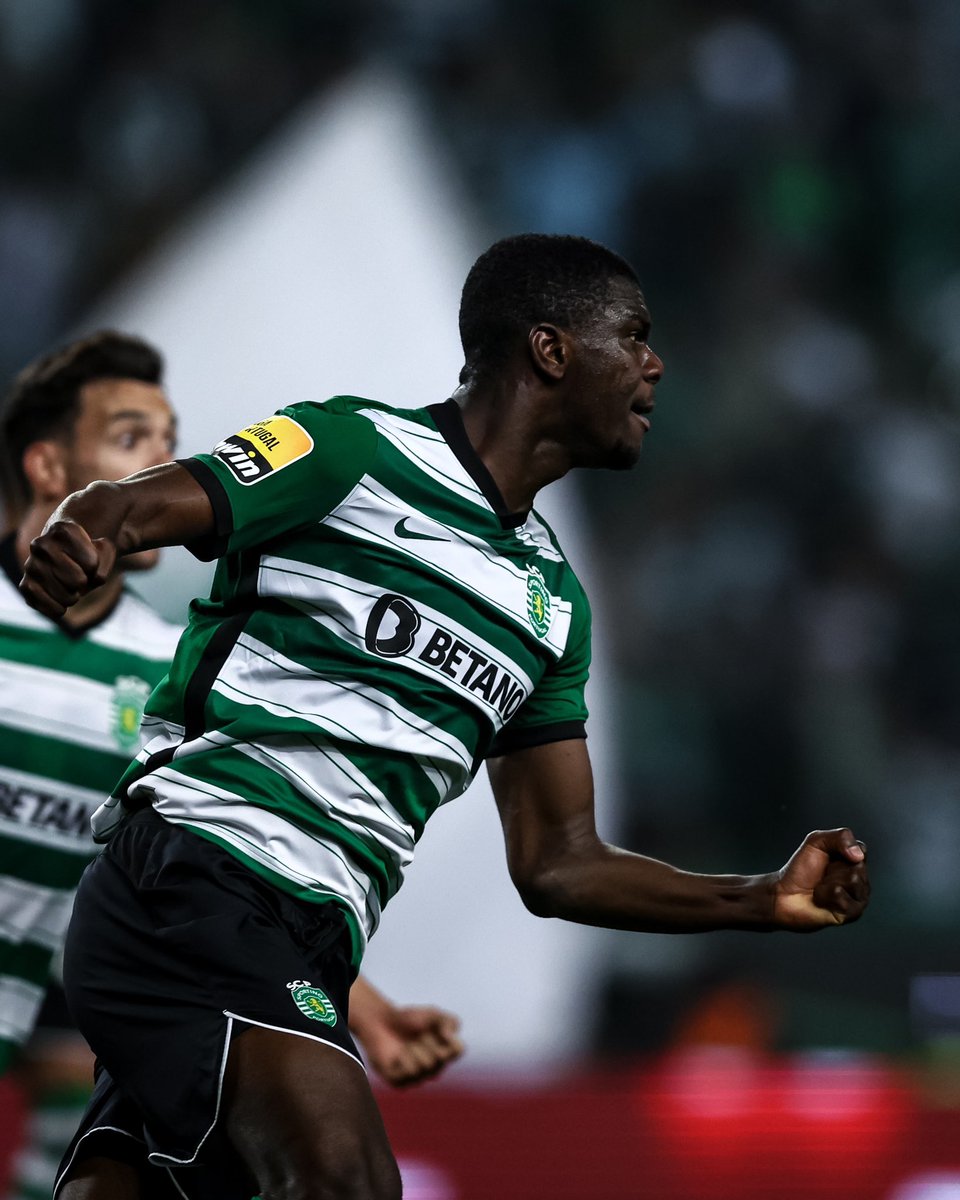 SportingCP's tweet photo. 🦁 https://t.co/pxVjTDX0pP
