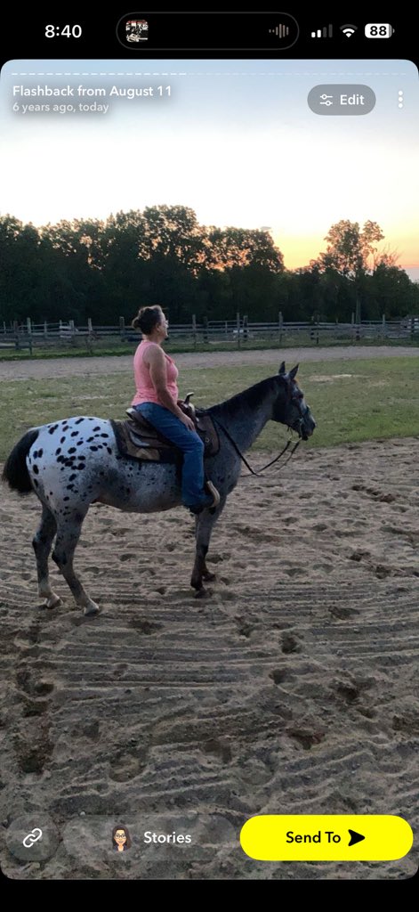 ctfarmgurl's tweet photo. Today’s bingo card did not have bawling in the work bathroom over Snapchat memories but here I am crying over my horses and how I wish they weren’t in the dirt https://t.co/HXokmnRwhj