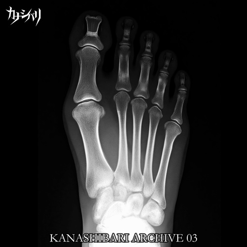 kanashibari_jp's tweet photo. 【NEW ITEM】
これまでに発表した作品の中から、CD化されていない音源や、現在では廃盤となっている作品を中心に収録した KANASHIBARI ARCHIVE 01–03 の3タイトルをCD-Rで同時に販売開始。

■ KANASHIBARI ARCHIVE 01
13 tracks

■ KANASHIBARI ARCHIVE 02
14 tracks

■ KANASHIBARI ARCHIVE 03
14 tracks

全41曲収録。
各 ¥1,500 / CD-R
少量生産での販売となります。

カナシバリ WEB SHOP
https://t.co/qCqqnhdKkA

An archive featuring recordings from KANASHIBARI’s past works, focusing primarily on material that was never released on CD and works that are now out of print.

01–03 are now available simultaneously.
A total of 41 tracks.
¥1,500 each / CD-R
Produced and sold in limited quantities.

Online Shop
https://t.co/qCqqnhdKkA