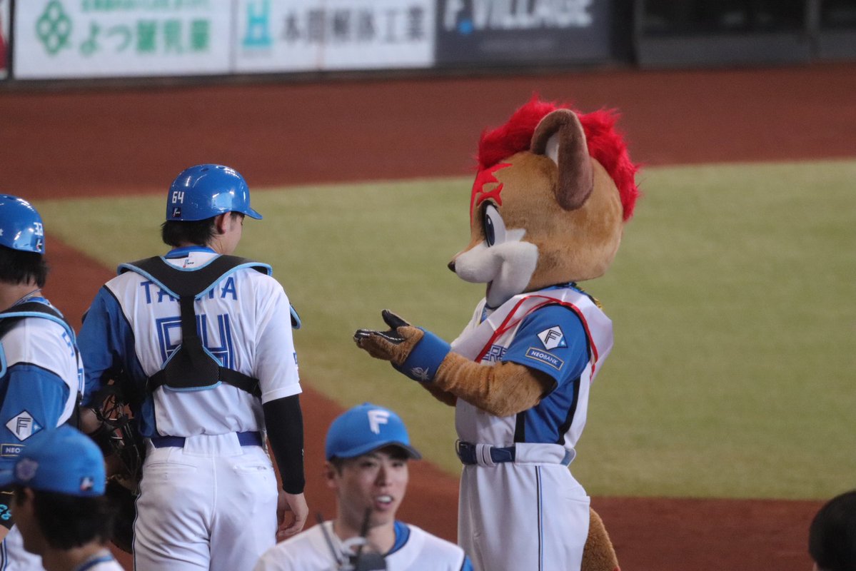 chantootaku's tweet photo. 【悲報】本日の主役、誕プレせがむもお手ですまされる🦊👦🏻 https://t.co/i5gLFPDlmJ