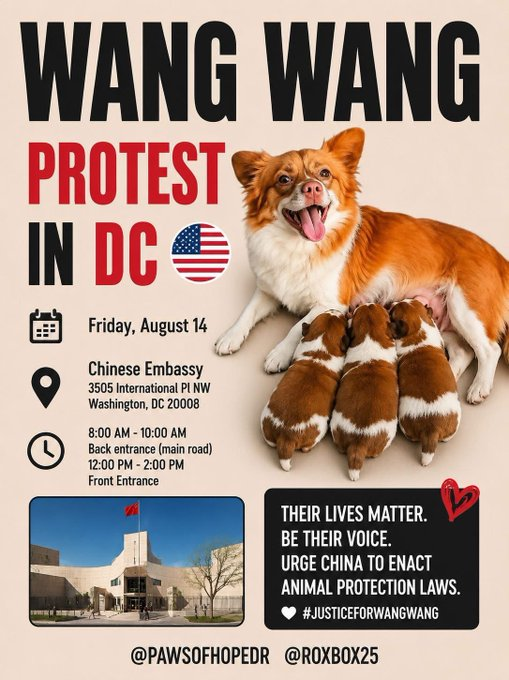 OccupyRedding's tweet photo. #JusticeForWangWang Washington DC Friday August 14th https://t.co/0AiOT0I9Ei